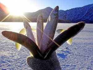 Зимняя рыбалка — залог крепкого здоровья и душевного равновесия