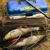 10 обязательных вещей для летней рыбалки