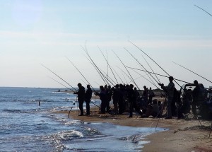 Ловим кефаль с берега в Крыму на Черном море