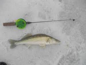 Ловля зимой на черта — советы рыболовам