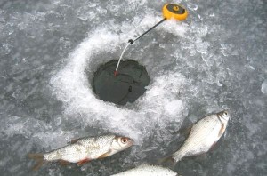 Ловля на подтяг — успешные советы рыболовам